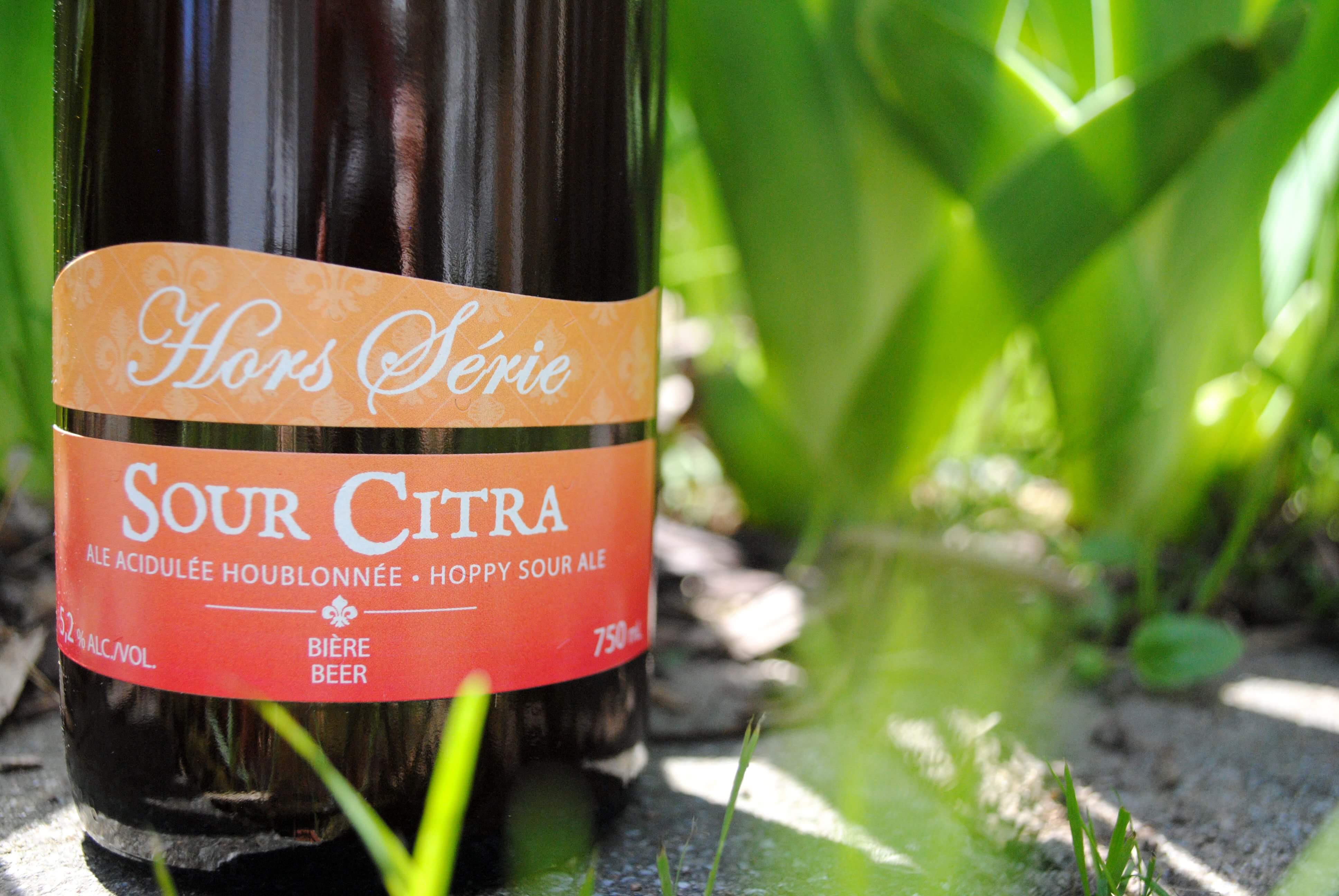 La Sour Citra : la bière de votre été!