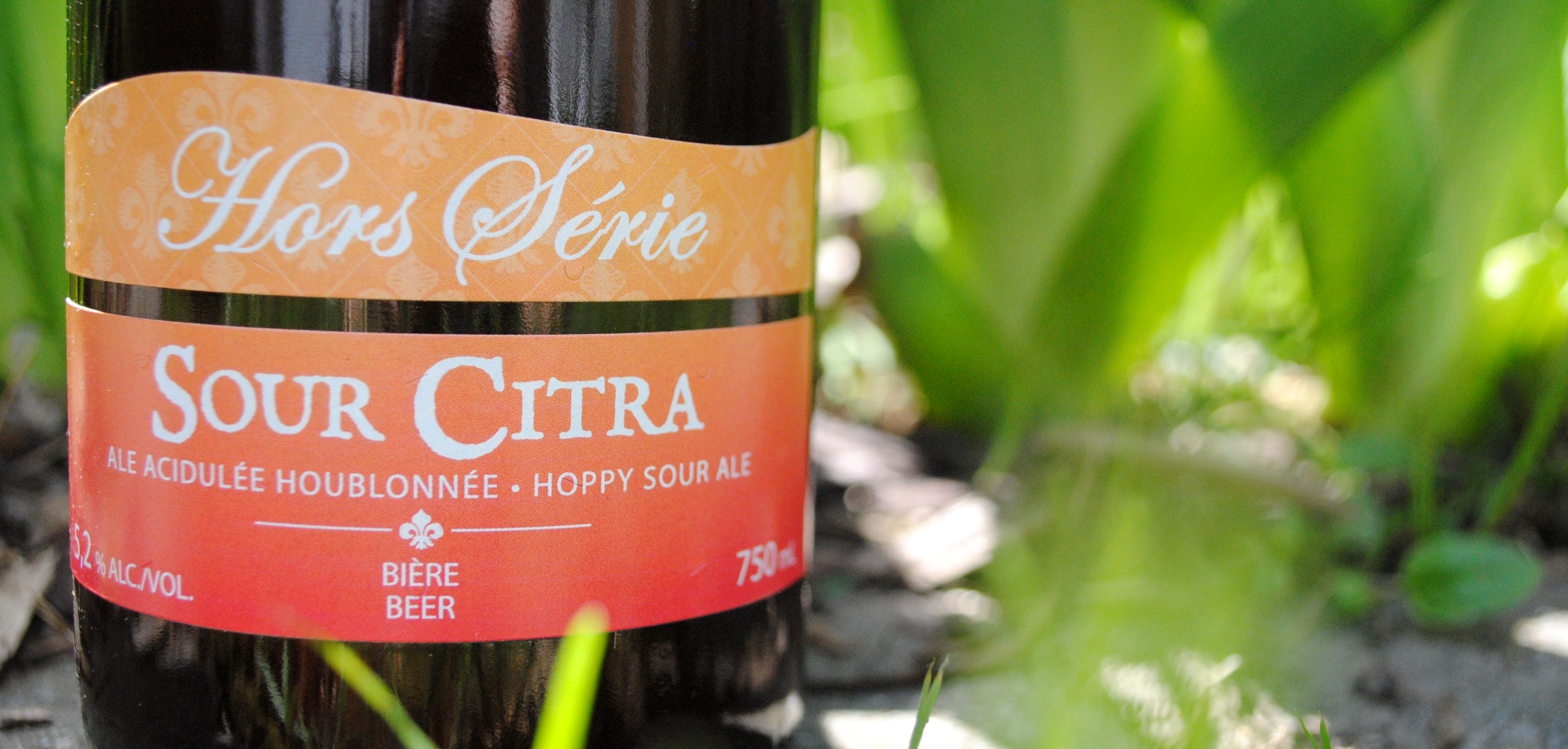 Une bière de soif : la Sour Citra