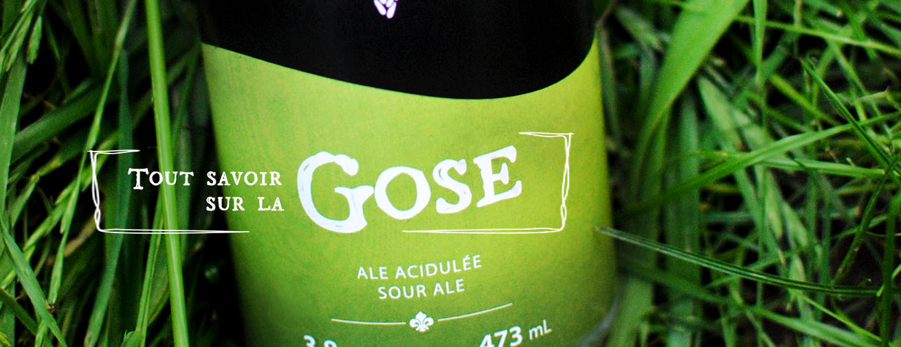 Tout savoir sur la Gose